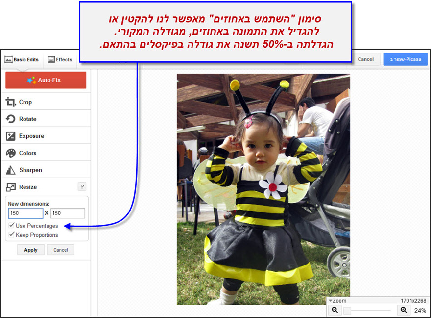 ערכת יצירה של פיקסה Resize 2