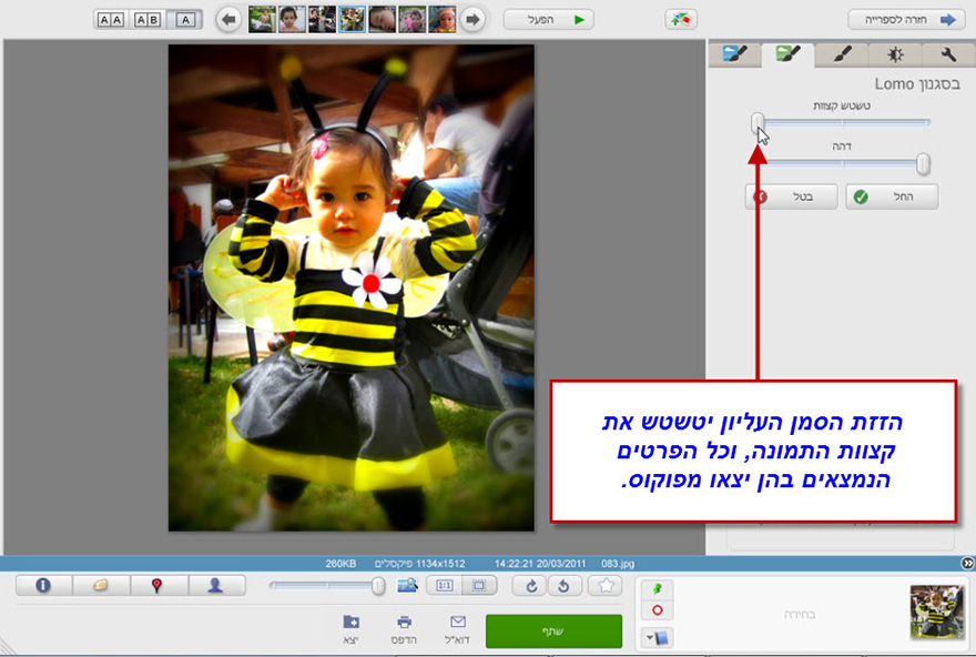 אפקט בסגנון לומו Picasa Photo Editor 2