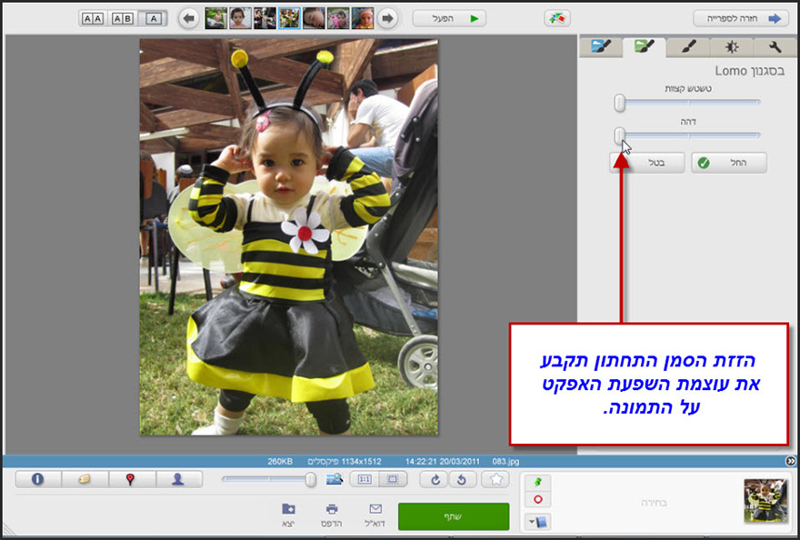 אפקט בסגנון לומו Picasa Photo Editor 3