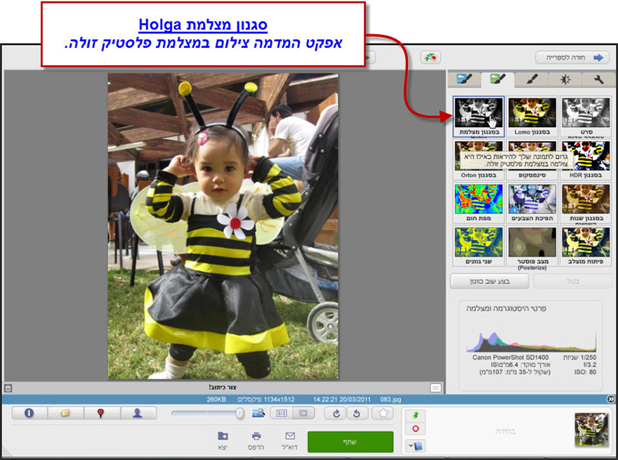 אפקט בסגנון הולגה Picasa Photo Editor 1
