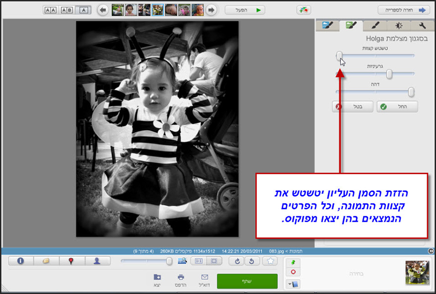 אפקט בסגנון הולגה Picasa Photo Editor 2