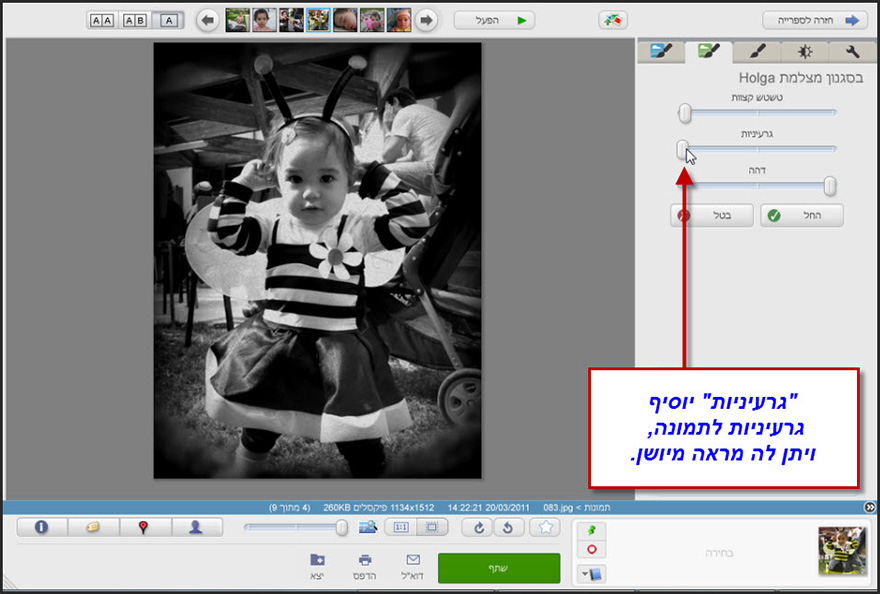 אפקט בסגנון הולגה Picasa Photo Editor 3