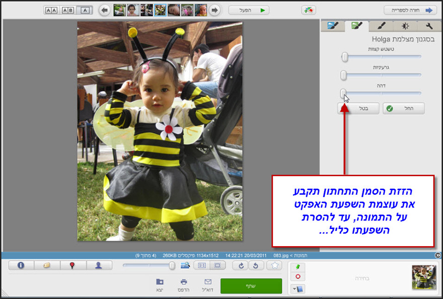 אפקט בסגנון הולגה Picasa Photo Editor 4