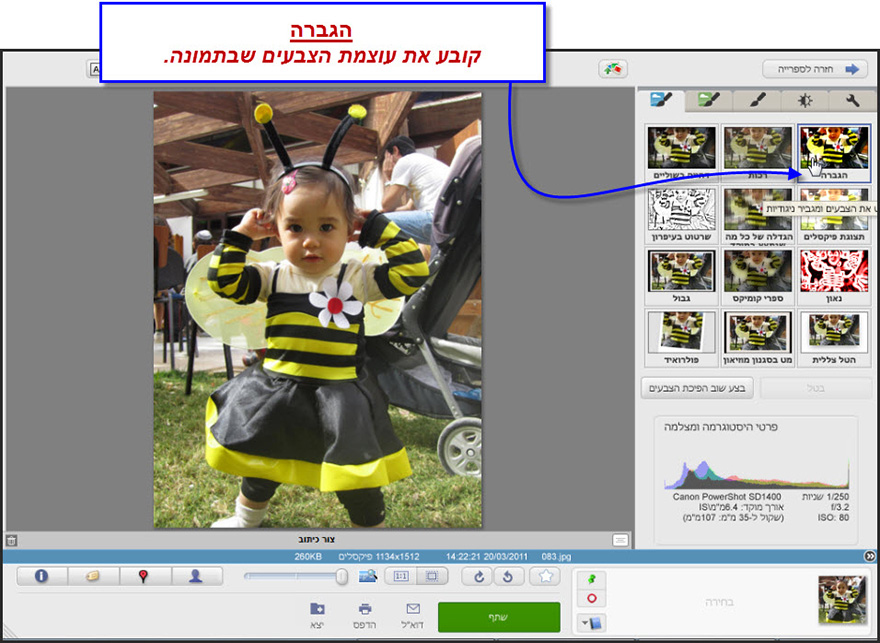 הגברת עוצמת הצבעים Picasa Photo Editor 1