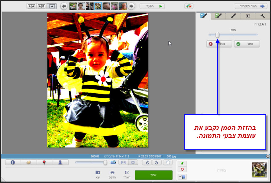 הגברת עוצמת הצבעים Picasa Photo Editor 2