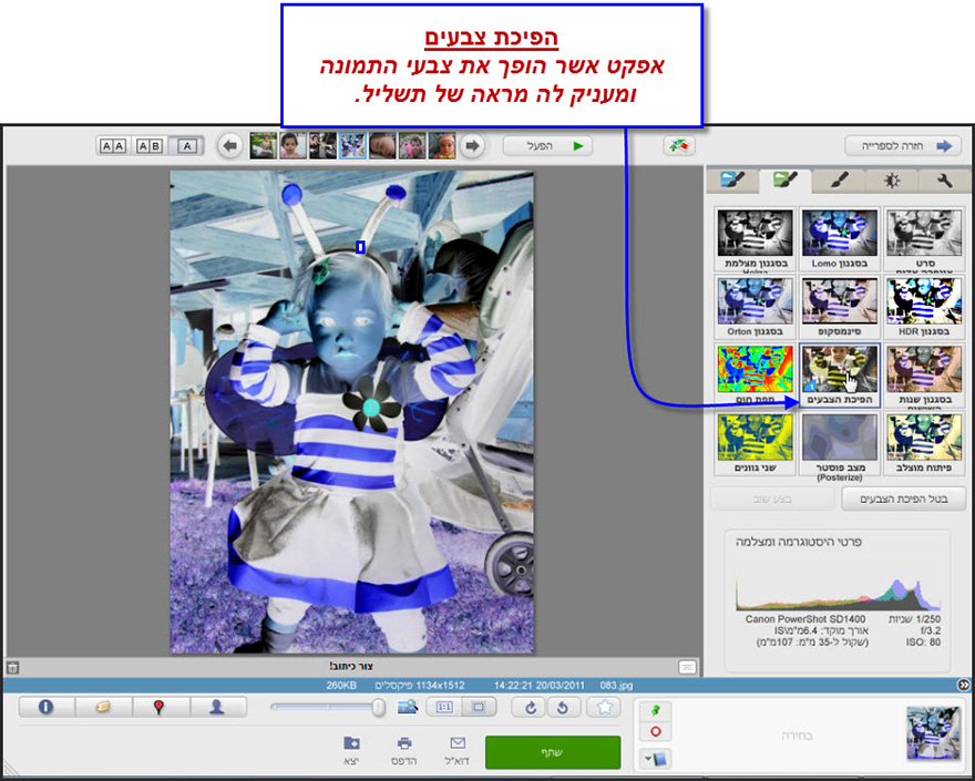 אפקט הפיכת צבעי- Picasa Photo Editor 1