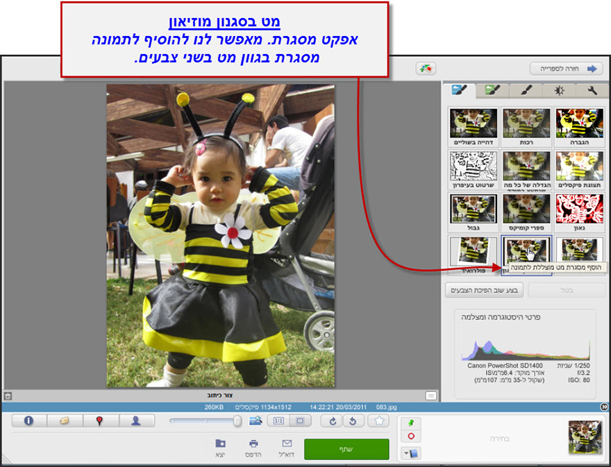 אפקט מסגרת בסגנון מוזיאון Picasa Photo Editor 1