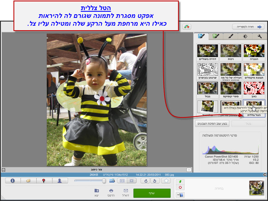 אפקט מסגרת עם צללית Picasa Photo Editor 1