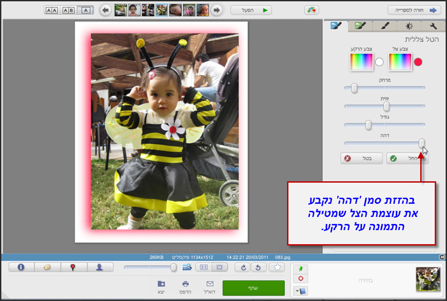 אפקט מסגרת עם צללית Picasa Photo Editor 6