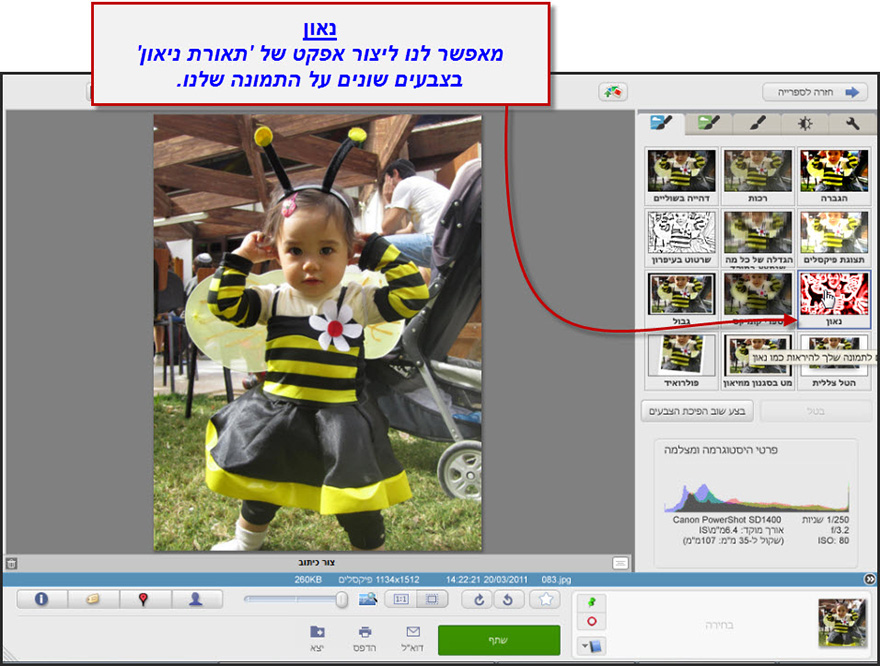 אפקט נאון Picasa Photo Editor 1