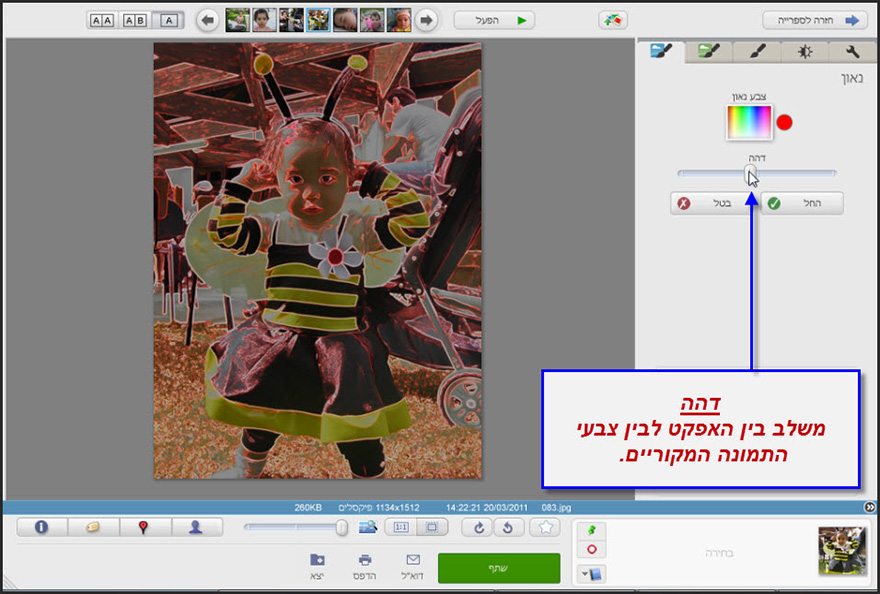 אפקט נאון Picasa Photo Editor 3