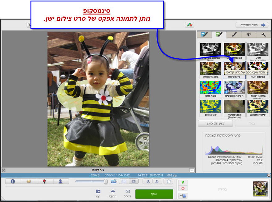 אפקט סינמסקופ Picasa Photo Editor 1