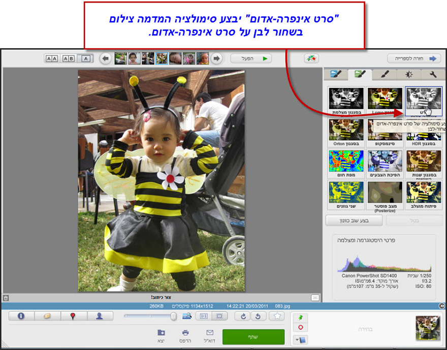 אפקט סרט אינפרה אדום Picasa Photo Editor 1