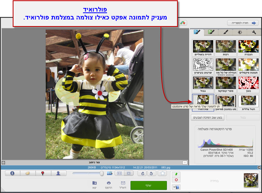 אפקט תמונת פולרואיד Picasa Photo Editor 1