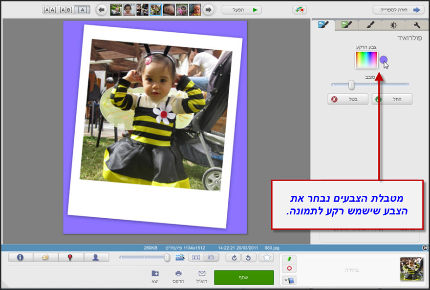 אפקט תמונת פולרואיד Picasa Photo Editor 2