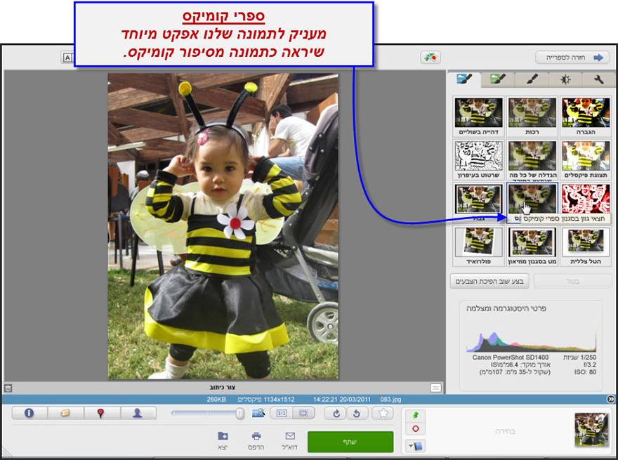 אפקט קומיקס Picasa Photo Editor 1