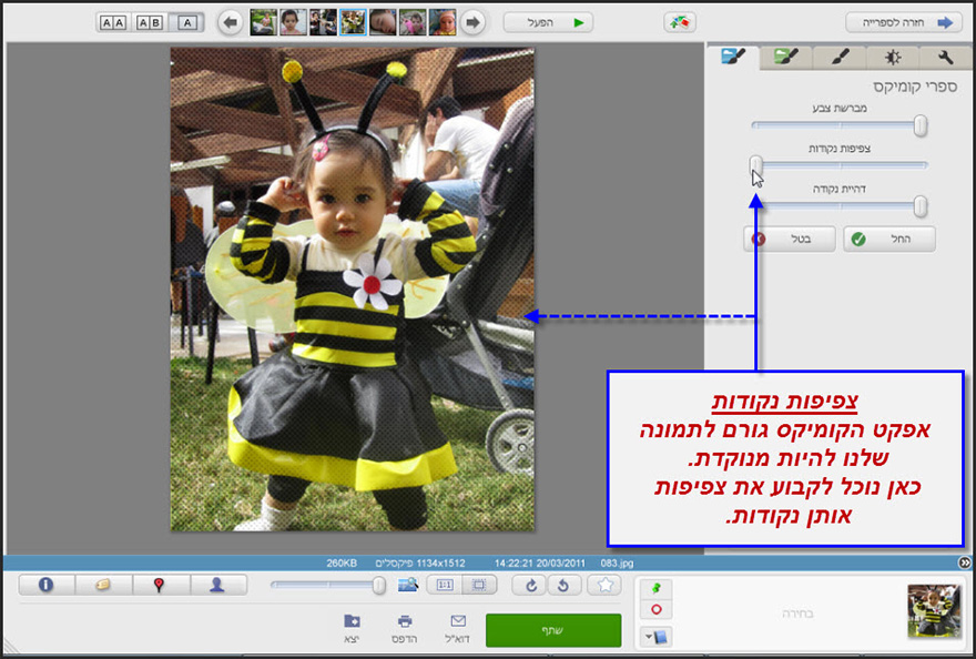 אפקט קומיקס Picasa Photo Editor 3