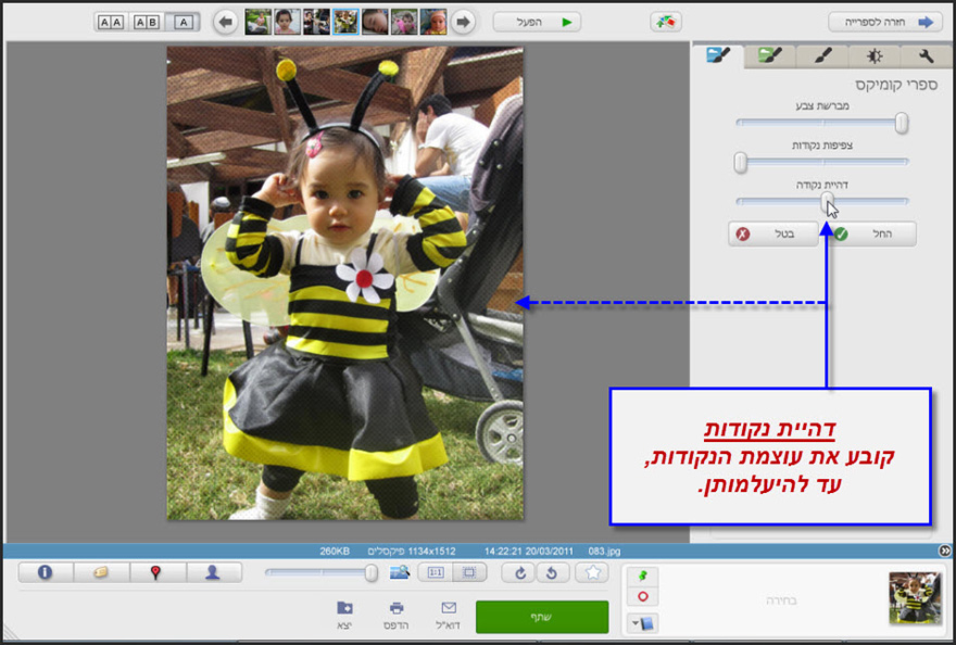 אפקט קומיקס Picasa Photo Editor 4