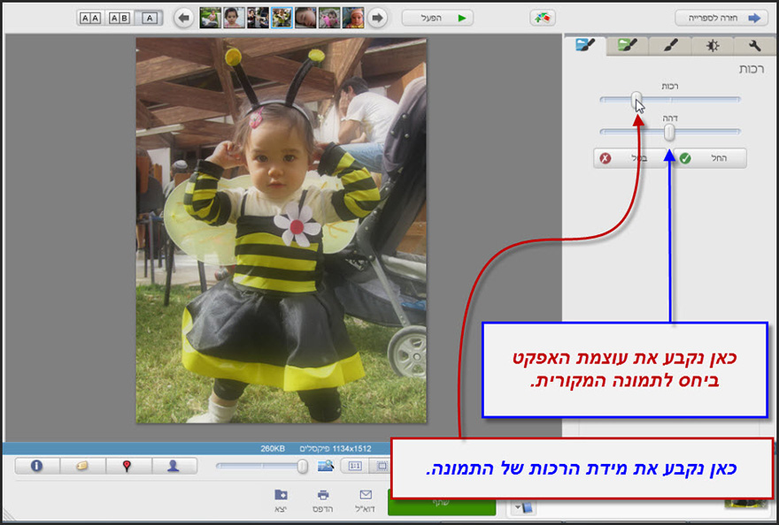 מראה רך יותר לתמונה Picasa Photo Editor 2