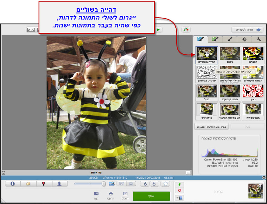 אפקט שוליים דהויים Picasa Photo Editor 1