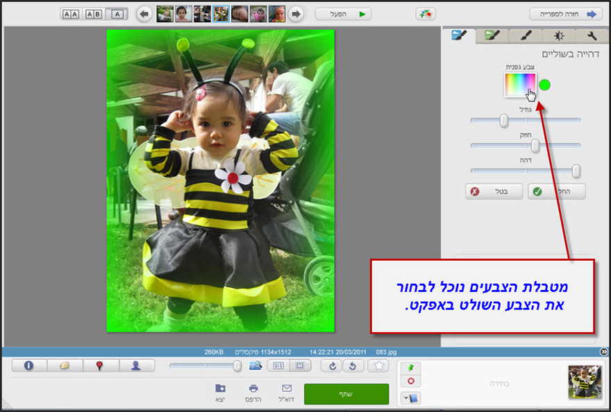 אפקט שוליים דהויים Picasa Photo Editor 2