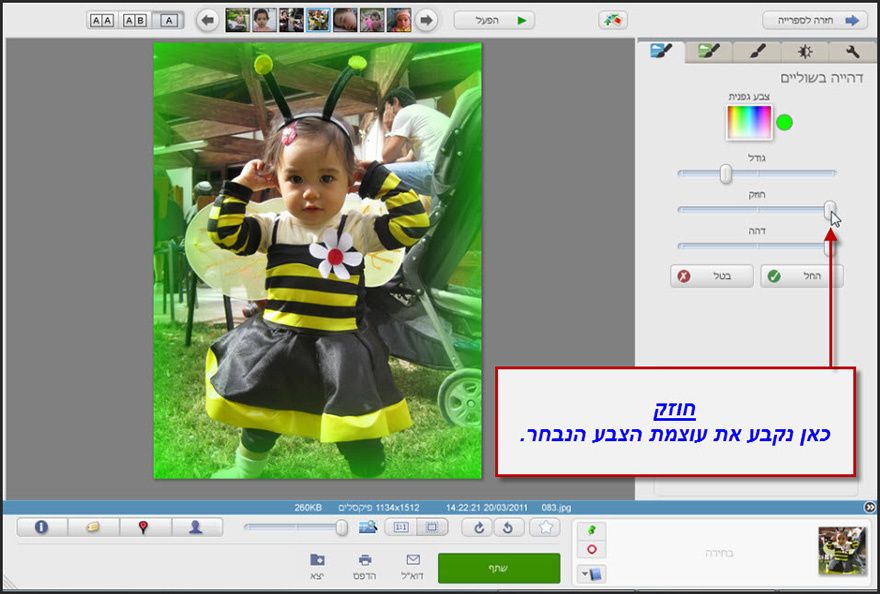 אפקט שוליים דהויים Picasa Photo Editor 3