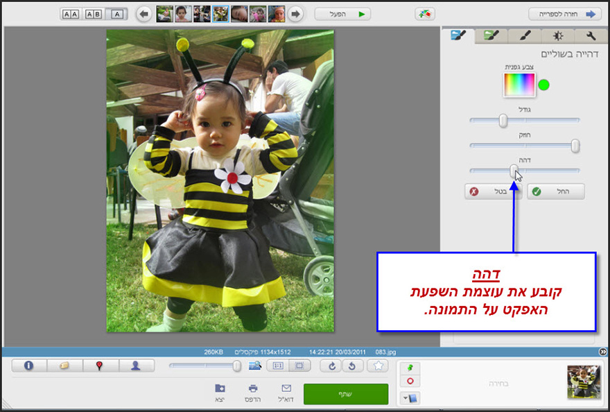 אפקט שוליים דהויים Picasa Photo Editor 4