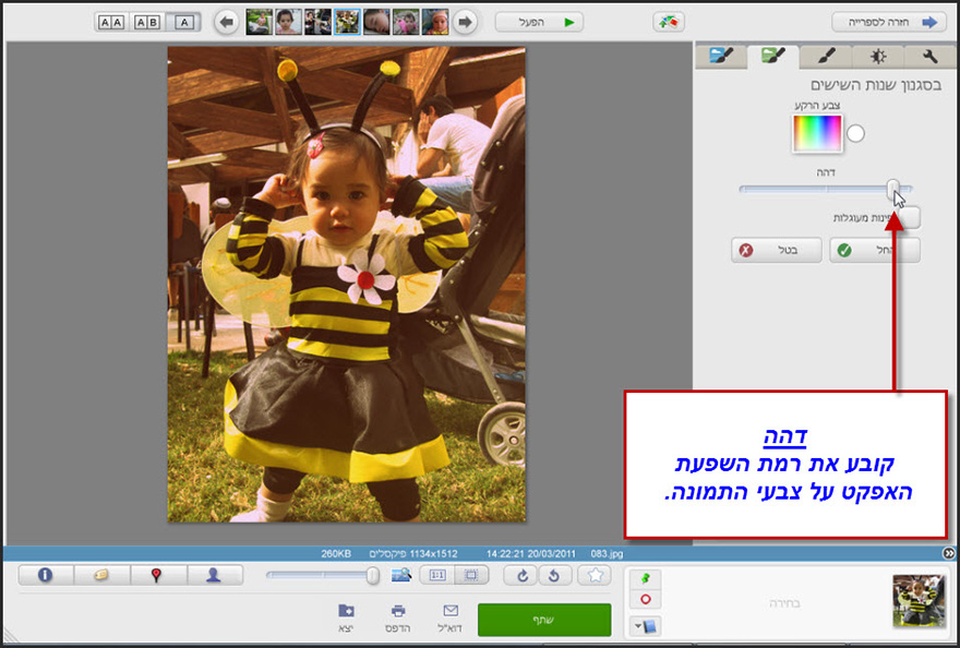 אפקט בסגנון שנות ה80 Picasa Photo Editor 2