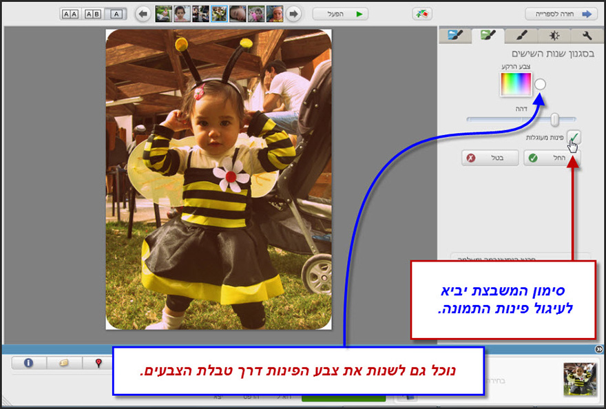 אפקט בסגנון שנות ה80 Picasa Photo Editor 3