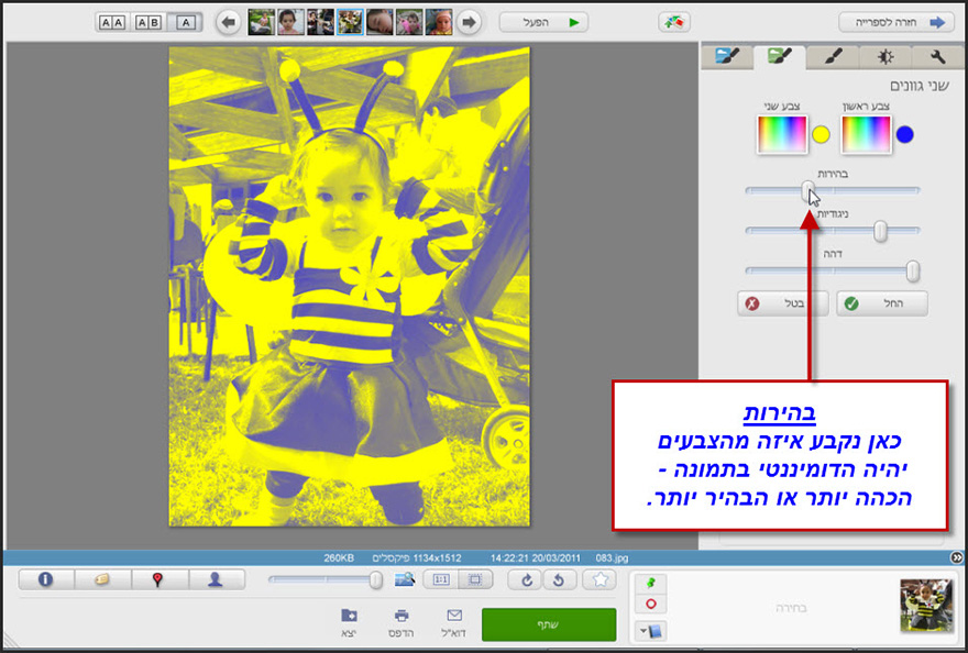 אפקט שני גוונים לתמונה Picasa Photo Editor 3