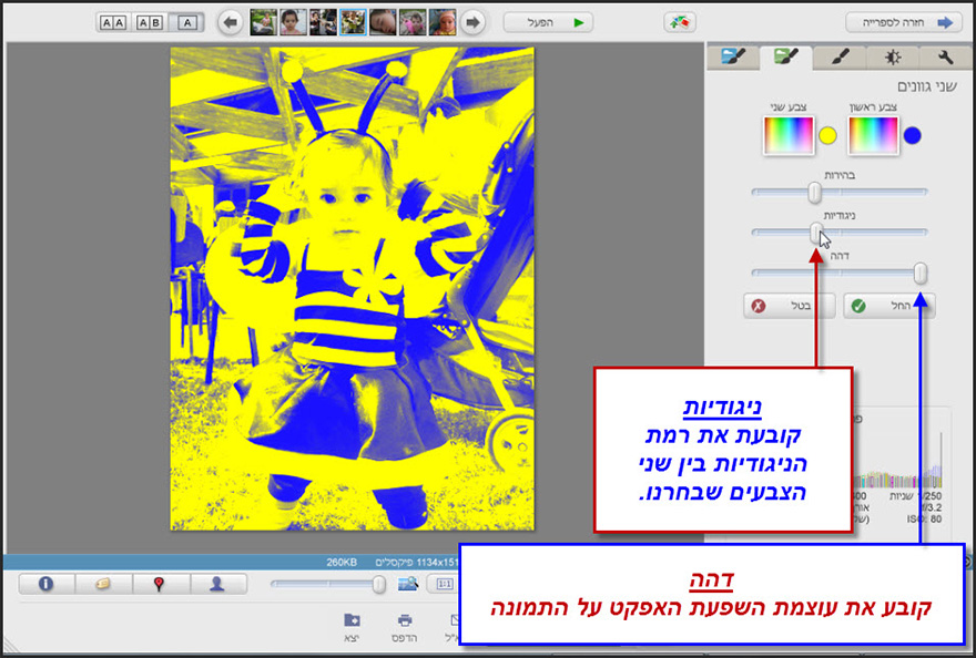 אפקט שני גוונים לתמונה Picasa Photo Editor 4