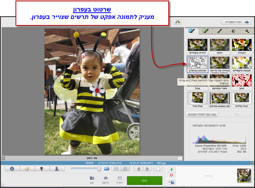 אפקט שרטוט בעיפרון Picasa Photo Editor 1