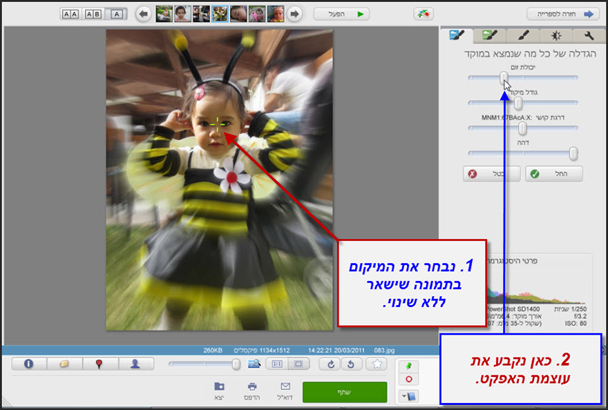 אפקט תנועה Picasa Photo Editor 2