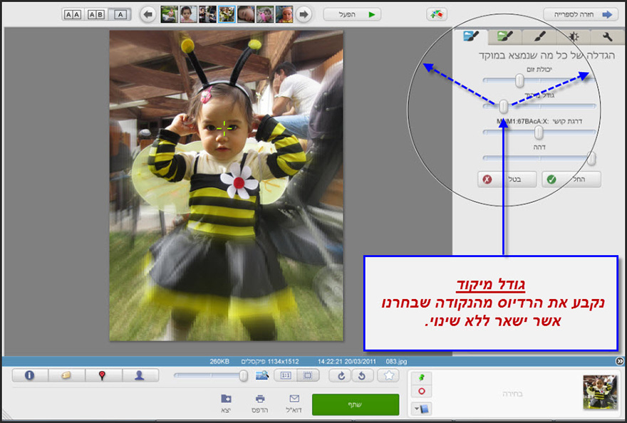 אפקט תנועה Picasa Photo Editor 3