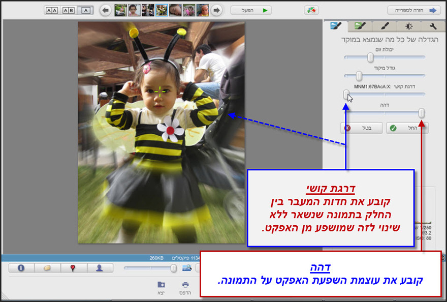 אפקט תנועה Picasa Photo Editor 4