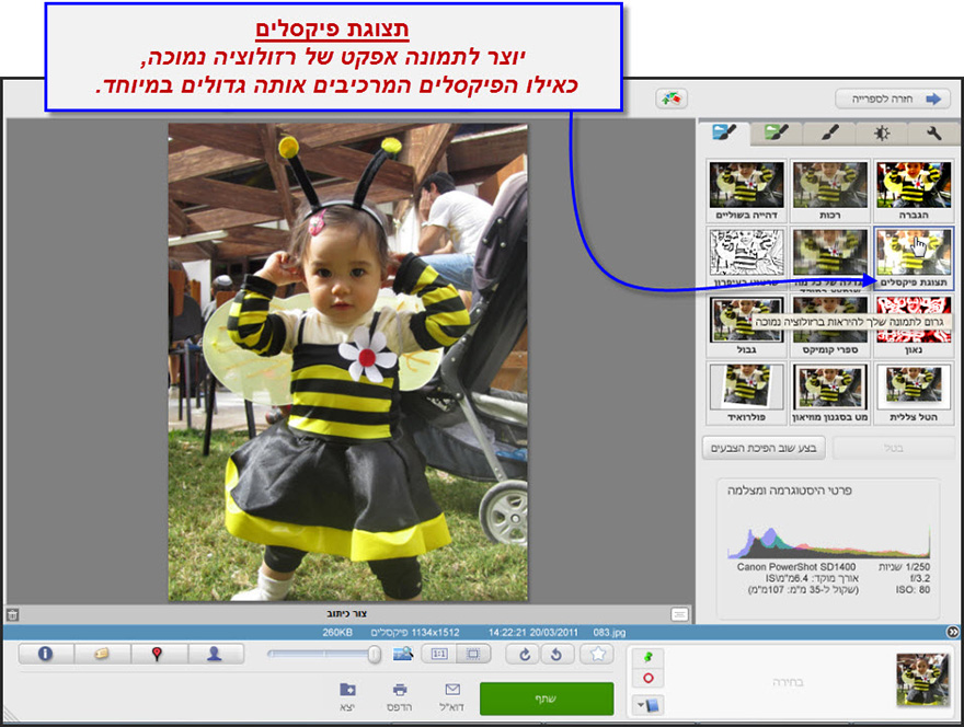 אפקט תצוגת פיקסלים Picasa Photo Editor 1