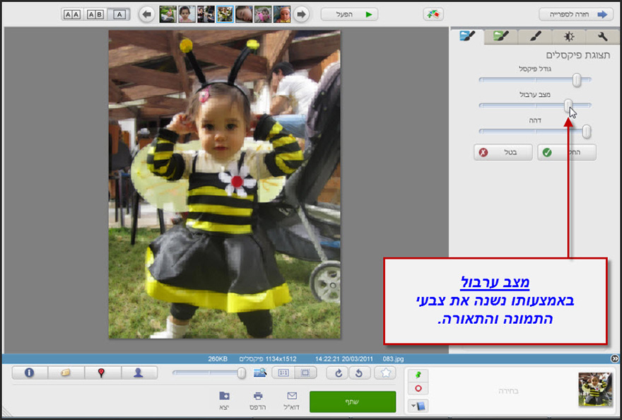 אפקט תצוגת פיקסלים Picasa Photo Editor 3