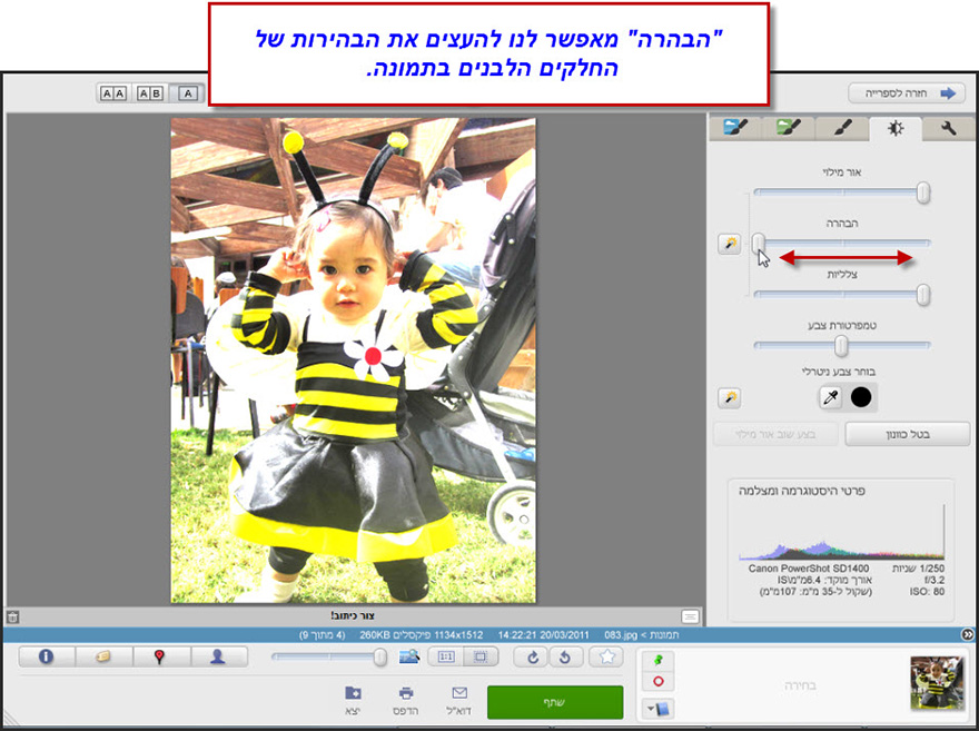 כיוון עדין של תאורה וצבע Picasa Effects 3