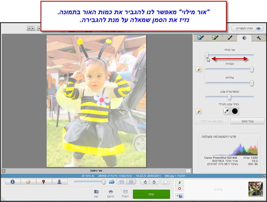 כיוון עדין של תאורה וצבע Picasa Effects 2