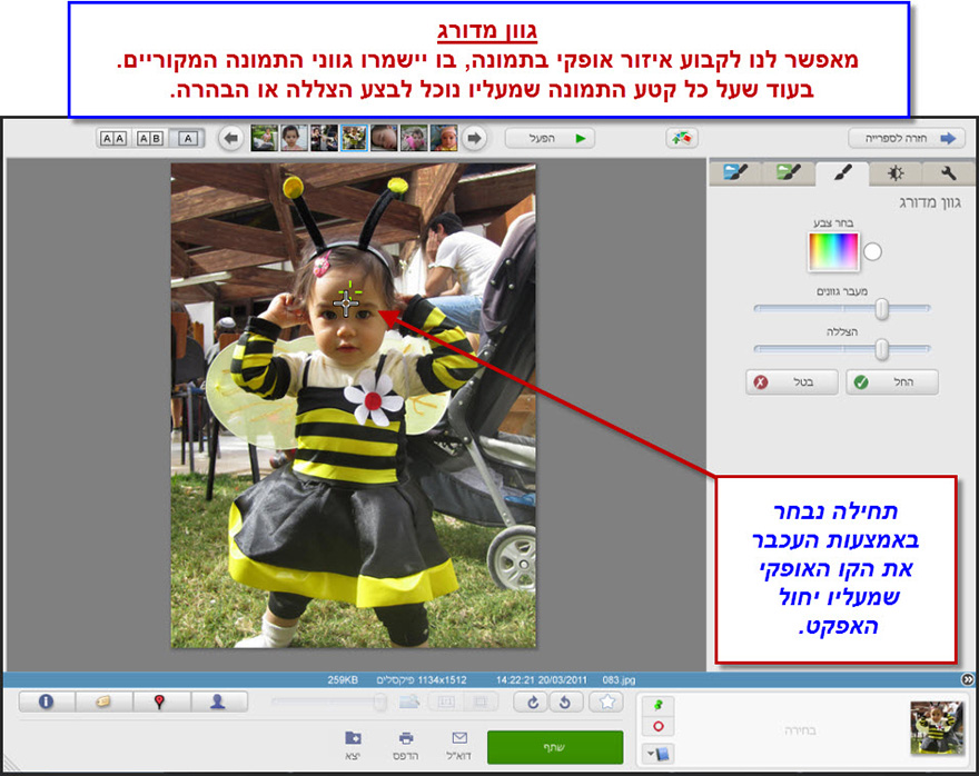 הוספת גוון מדורג לתמונה Picasa Photo Editor 2