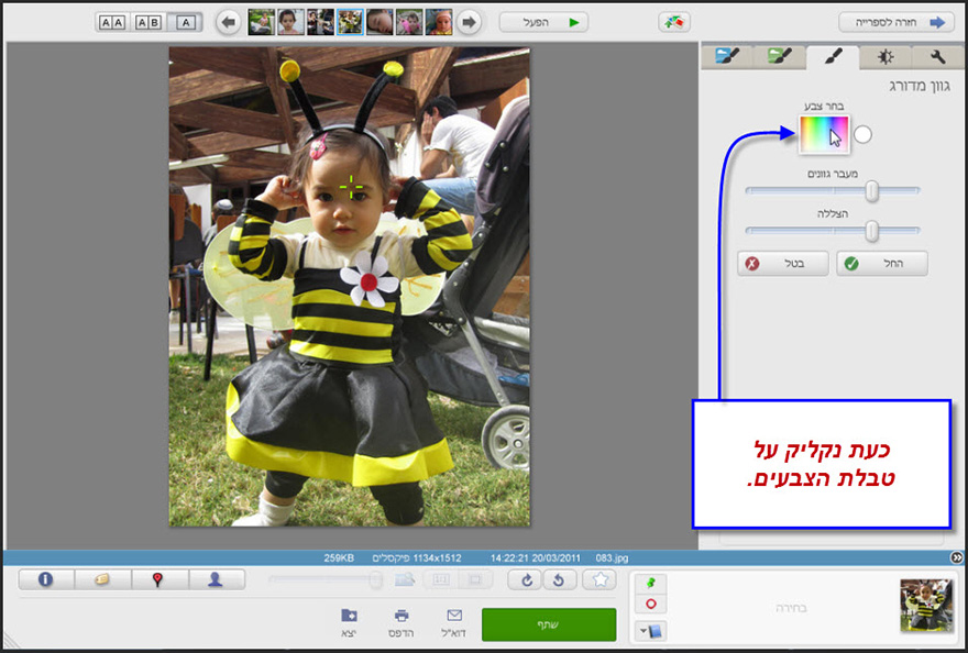 הוספת גוון מדורג לתמונה Picasa Photo Editor 3