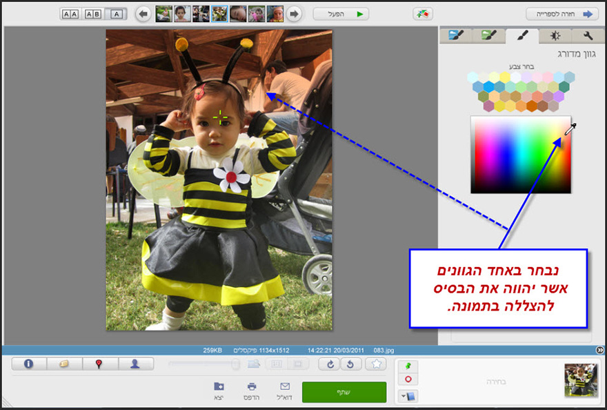 הוספת גוון מדורג לתמונה Picasa Photo Editor 4