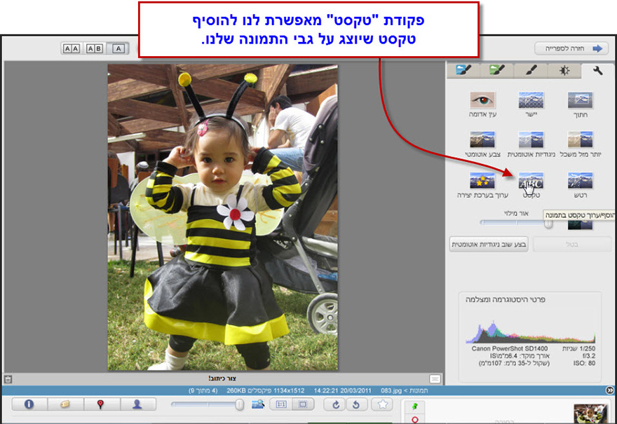 הוספת טקסט לתמונה Picasa Photo Editor 1