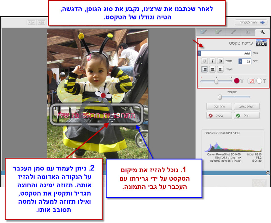 הוספת טקסט לתמונה Picasa Photo Editor 3