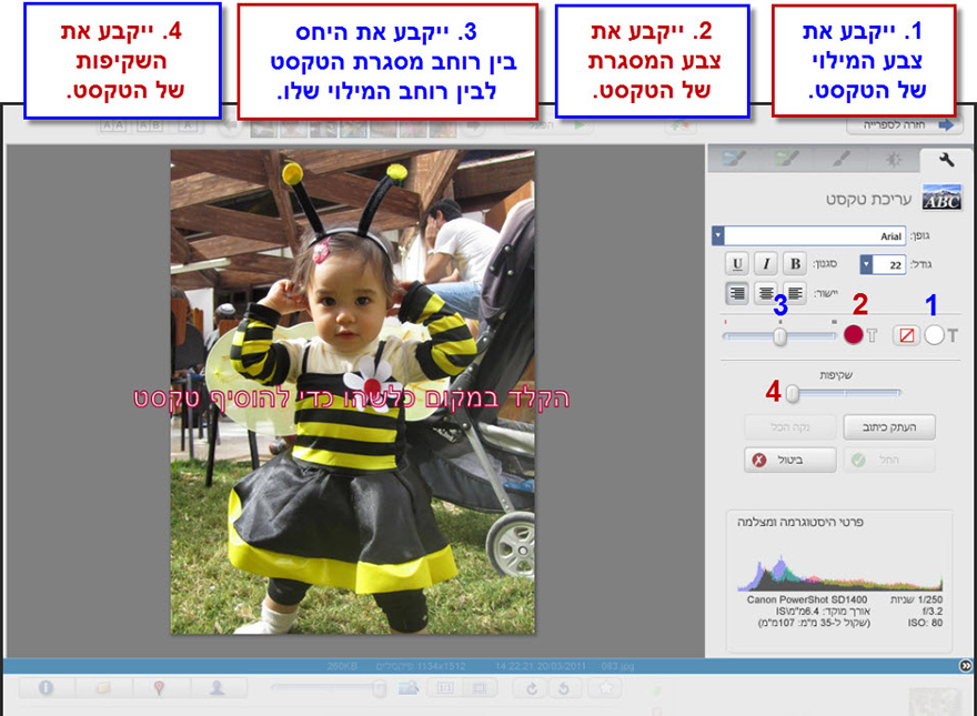 הוספת טקסט לתמונה Picasa Photo Editor 4