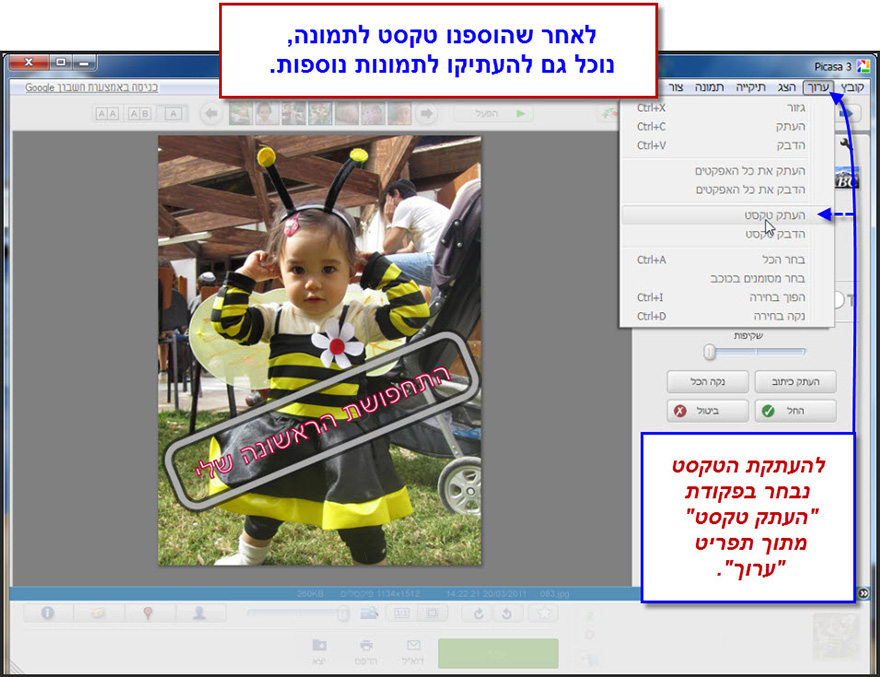 הוספת טקסט לתמונה Picasa Photo Editor 6