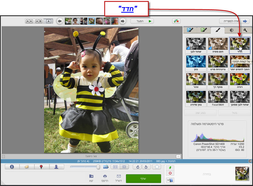 חידוד תמונה Picasa Photo Editor 1