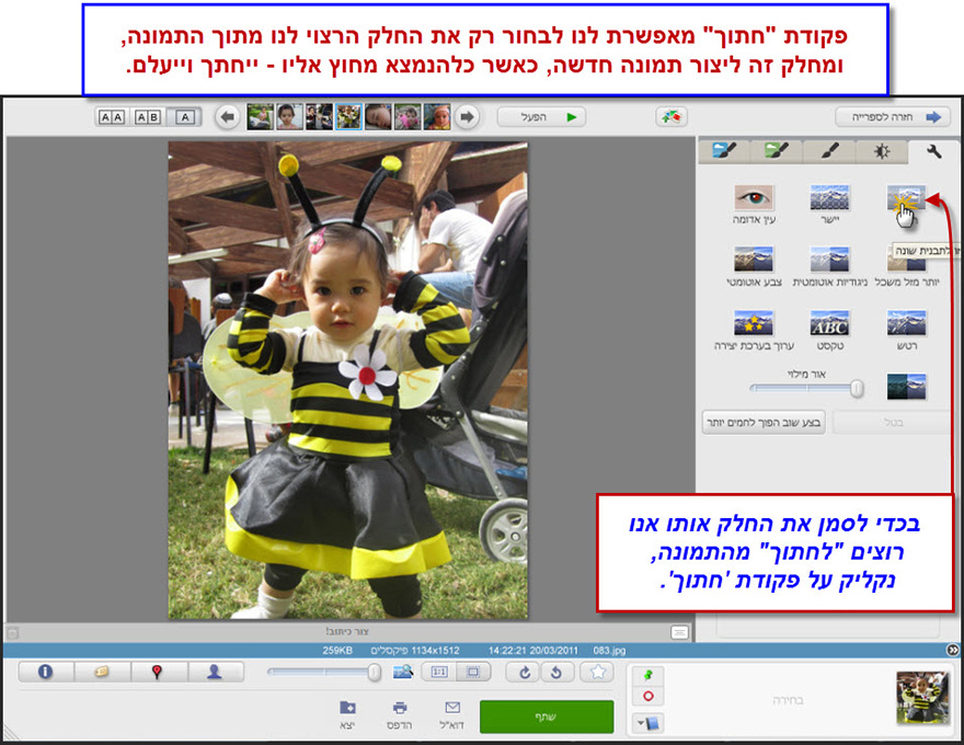 חיתוך חלק מתמונה Picasa Photo Editor 1