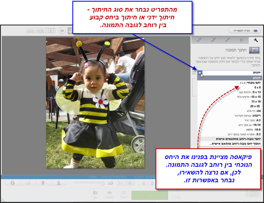 חיתוך חלק מתמונה Picasa Photo Editor 2