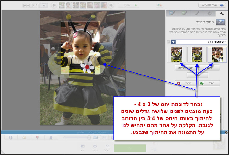 חיתוך חלק מתמונה Picasa Photo Editor 3